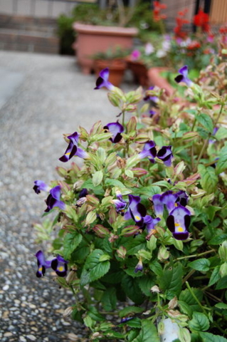 f:id:gzutetsu:20090922144923j:image