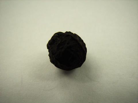 f:id:gzutetsu:20090922144936j:image f:id:gzutetsu:20090922144936j:image