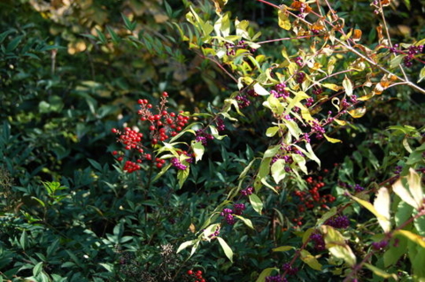 f:id:gzutetsu:20090922145427j:image f:id:gzutetsu:20090922145427j:image