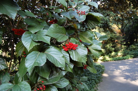 f:id:gzutetsu:20090922145428j:image f:id:gzutetsu:20090922145428j:image