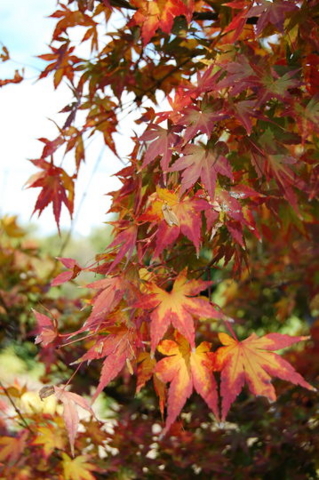 f:id:gzutetsu:20090922145439j:image f:id:gzutetsu:20090922145439j:image