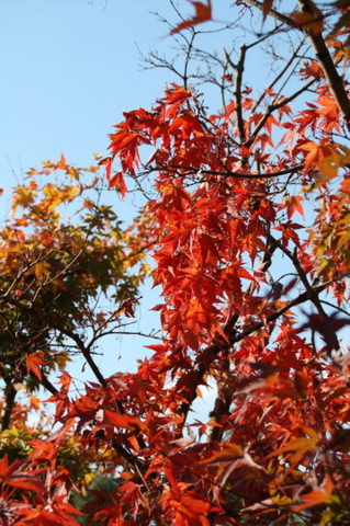 f:id:gzutetsu:20090922145440j:image f:id:gzutetsu:20090922145440j:image