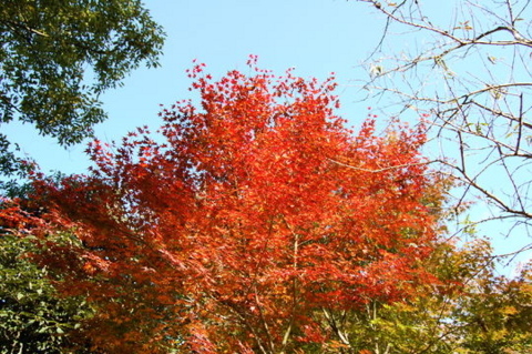 f:id:gzutetsu:20090922145441j:image f:id:gzutetsu:20090922145441j:image