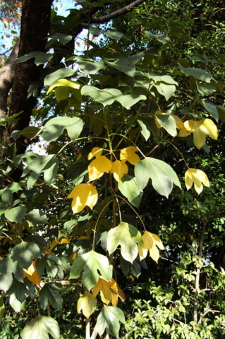f:id:gzutetsu:20090922145442j:image f:id:gzutetsu:20090922145442j:image