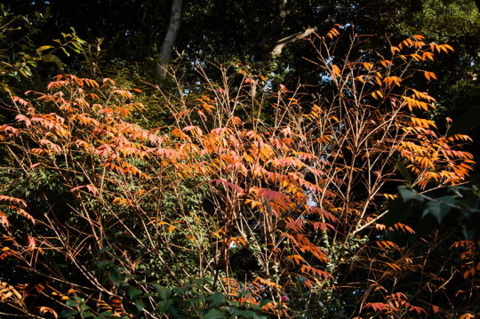 f:id:gzutetsu:20090922145443j:image f:id:gzutetsu:20090922145443j:image