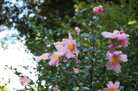 f:id:gzutetsu:20090922145444j:image f:id:gzutetsu:20090922145444j:image