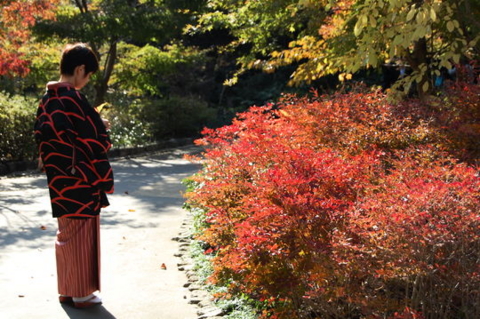 f:id:gzutetsu:20090922145445j:image f:id:gzutetsu:20090922145445j:image