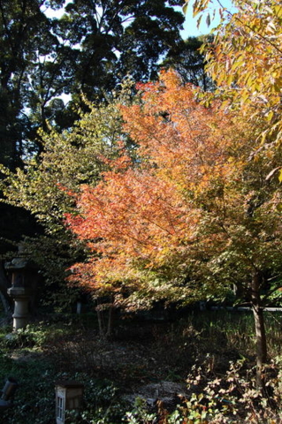 f:id:gzutetsu:20090922145446j:image f:id:gzutetsu:20090922145446j:image