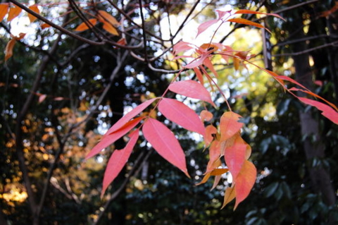 f:id:gzutetsu:20090922145447j:image f:id:gzutetsu:20090922145447j:image