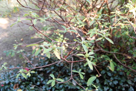 f:id:gzutetsu:20090922145451j:image f:id:gzutetsu:20090922145451j:image