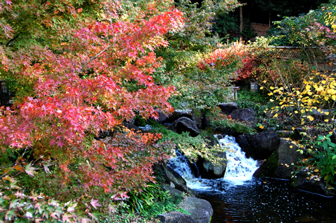 f:id:gzutetsu:20090922145453j:image f:id:gzutetsu:20090922145453j:image