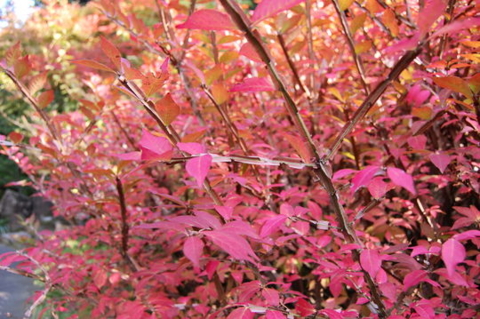 f:id:gzutetsu:20090922145455j:image f:id:gzutetsu:20090922145455j:image