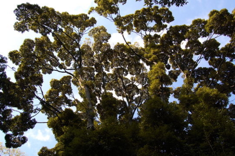 f:id:gzutetsu:20090922145457j:image f:id:gzutetsu:20090922145457j:image