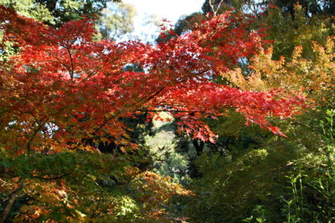 f:id:gzutetsu:20090922145501j:image f:id:gzutetsu:20090922145501j:image