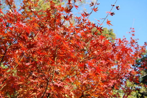 f:id:gzutetsu:20090922145502j:image f:id:gzutetsu:20090922145502j:image