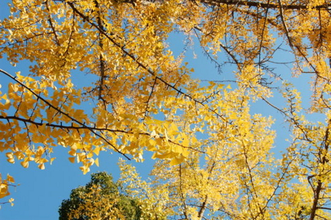 f:id:gzutetsu:20090922145505j:image f:id:gzutetsu:20090922145505j:image