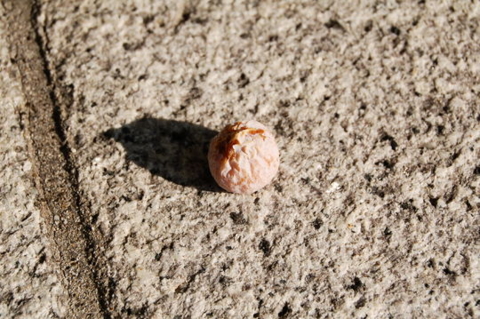 f:id:gzutetsu:20090922145506j:image f:id:gzutetsu:20090922145506j:image