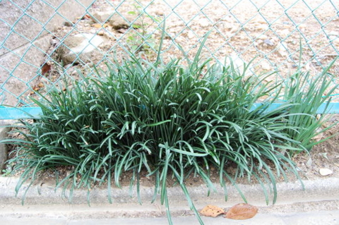 f:id:gzutetsu:20090922145513j:image