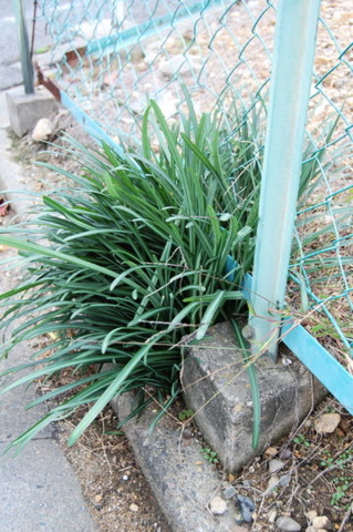f:id:gzutetsu:20090922145514j:image