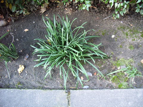 f:id:gzutetsu:20090922145516j:image