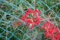 20090927065421