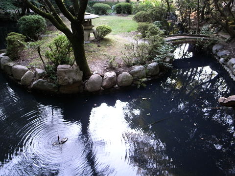 f:id:gzutetsu:20091003161037j:image f:id:gzutetsu:20091003161037j:image