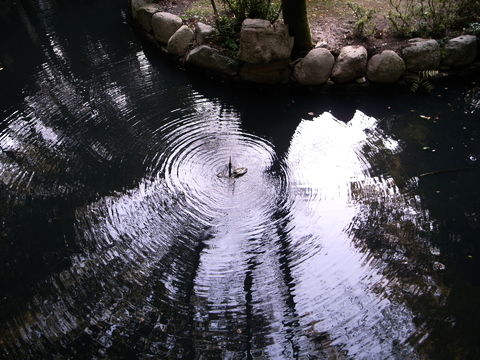 f:id:gzutetsu:20091003161046j:image f:id:gzutetsu:20091003161046j:image