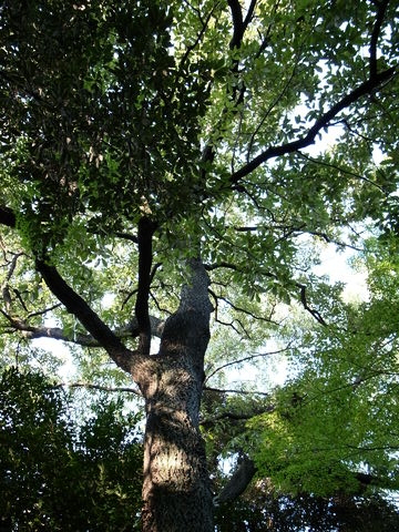 f:id:gzutetsu:20091003162234j:image f:id:gzutetsu:20091003162234j:image