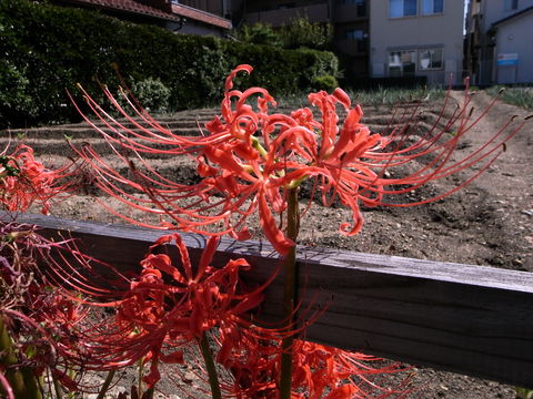 f:id:gzutetsu:20091004123424j:image
