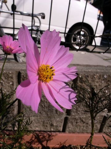 f:id:gzutetsu:20091018133753j:image