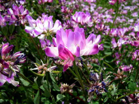 f:id:gzutetsu:20091020001923j:image f:id:gzutetsu:20091020001923j:image