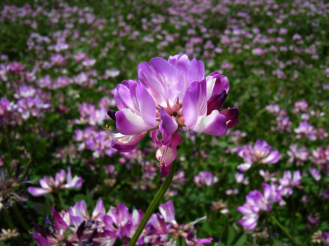 f:id:gzutetsu:20091020001924j:image f:id:gzutetsu:20091020001924j:image