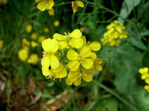 f:id:gzutetsu:20091020001926j:image f:id:gzutetsu:20091020001926j:image
