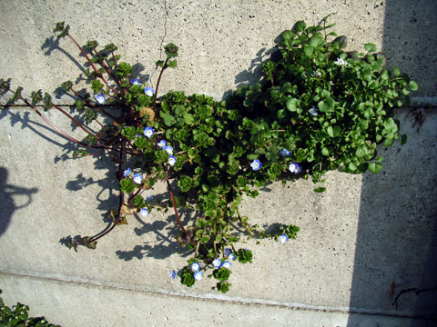 f:id:gzutetsu:20091020002542j:image