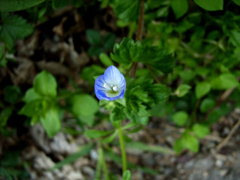 f:id:gzutetsu:20091020002552j:image f:id:gzutetsu:20091020002552j:image