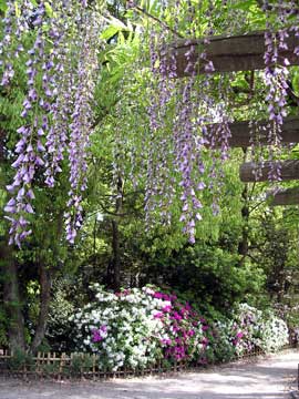 f:id:gzutetsu:20091020002953j:image