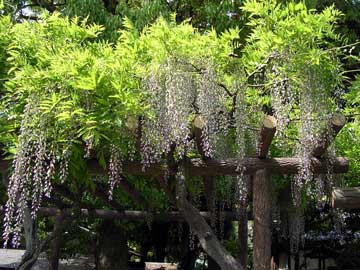 f:id:gzutetsu:20091020002954j:image
