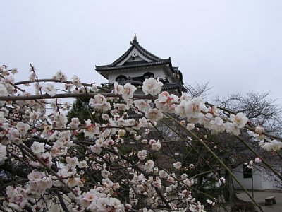 f:id:gzutetsu:20091020003356j:image