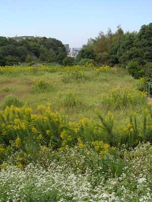 f:id:gzutetsu:20091020003421j:image f:id:gzutetsu:20091020003421j:image