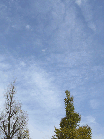 f:id:gzutetsu:20091020003426g:image f:id:gzutetsu:20091020003426g:image