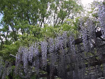 f:id:gzutetsu:20091020003640j:image f:id:gzutetsu:20091020003640j:image