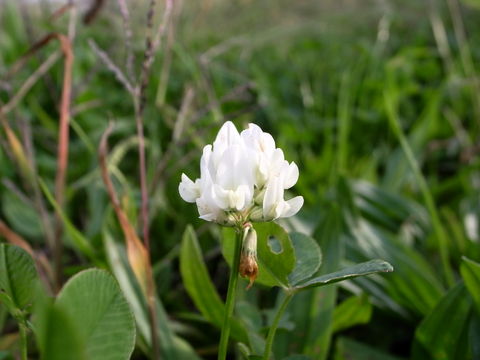 f:id:gzutetsu:20091115145442j:image