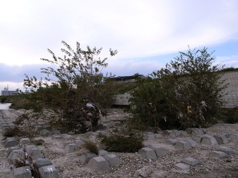 f:id:gzutetsu:20091115150010j:image