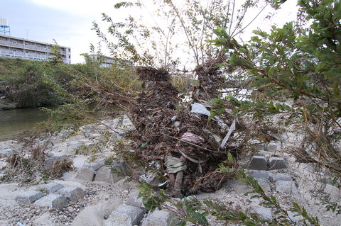f:id:gzutetsu:20091115150356j:image