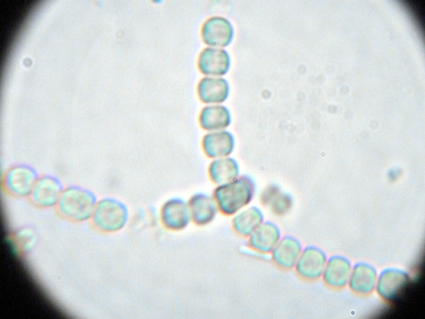 f:id:gzutetsu:20091121210011j:image f:id:gzutetsu:20091121210011j:image
