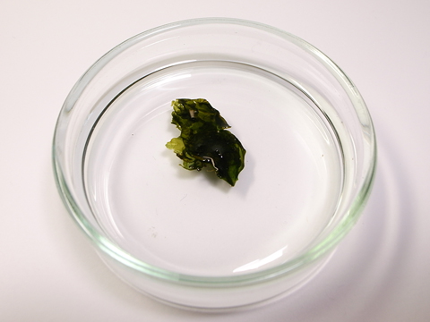 f:id:gzutetsu:20091121210016j:image f:id:gzutetsu:20091121210016j:image