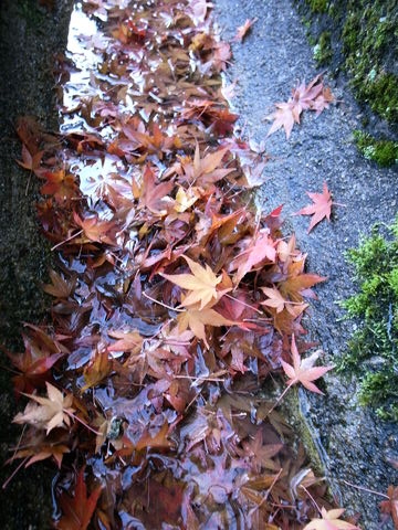 f:id:gzutetsu:20091206094612j:image