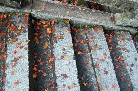 f:id:gzutetsu:20091206094747j:image