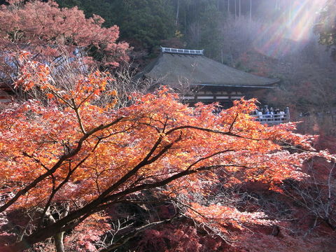 f:id:gzutetsu:20091206095947j:image