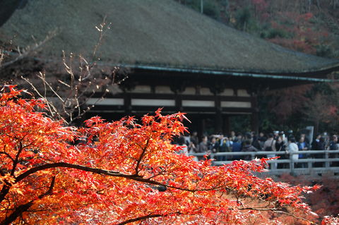 f:id:gzutetsu:20091206100738j:image